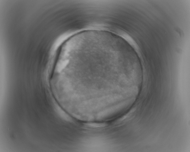 X0000113601344200910161857