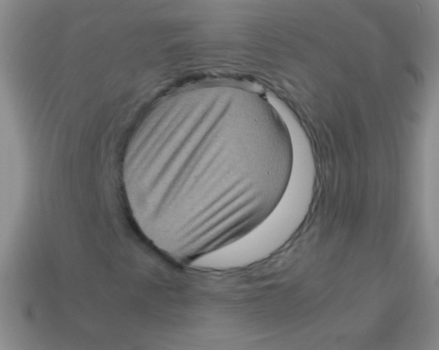 X0000113601345200910161856