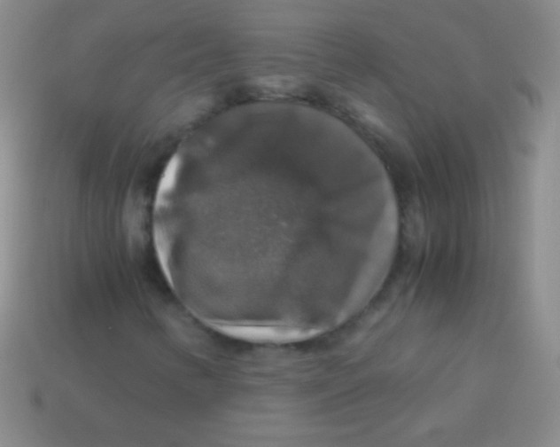 X0000113601346200910161856