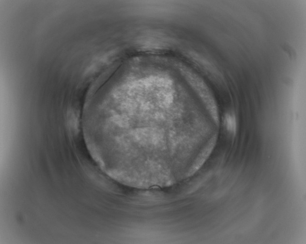 X0000113601348200910161856