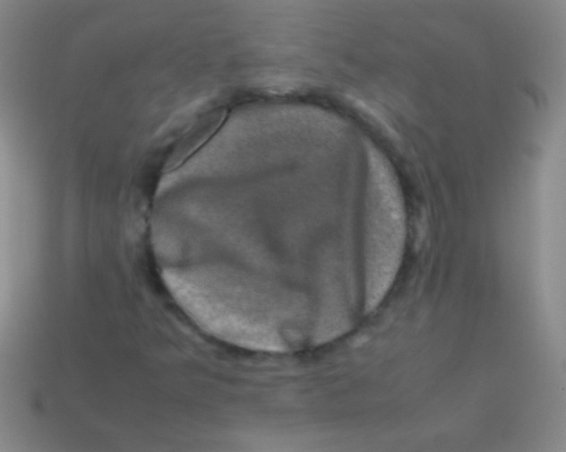 X0000113601349200910161856