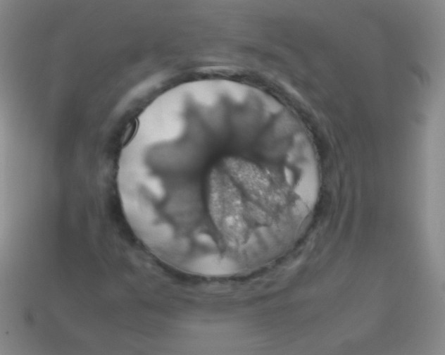 X0000113601351200910161856