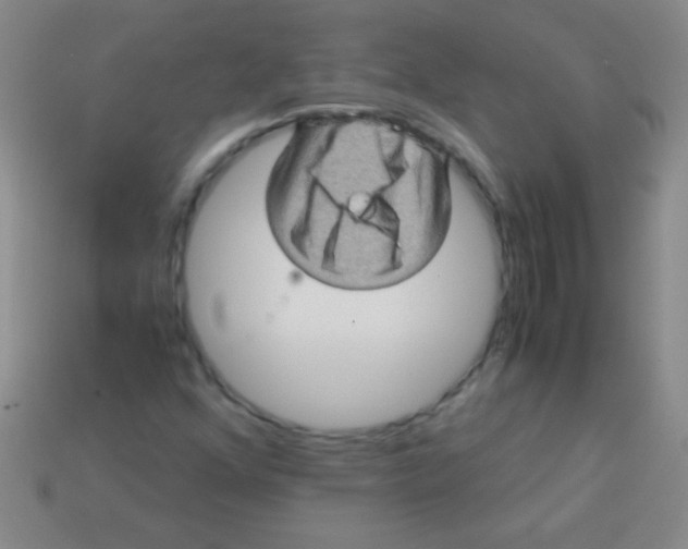 X0000113601352200910161856