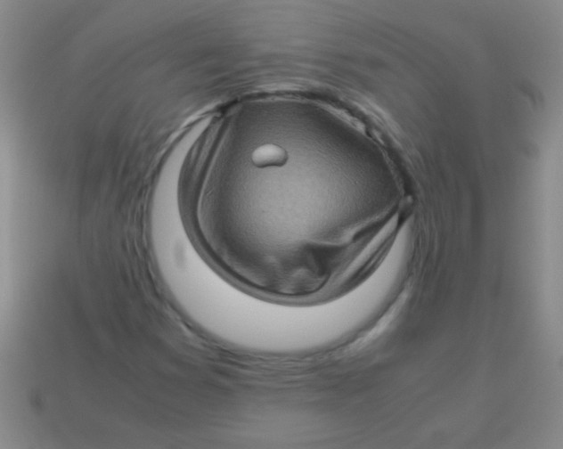 X0000113601353200910161856