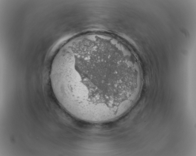 X0000113601359200910161856