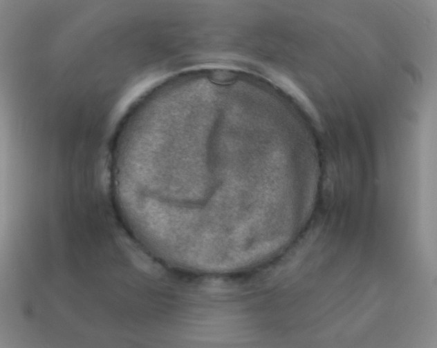 X0000113601360200910161856