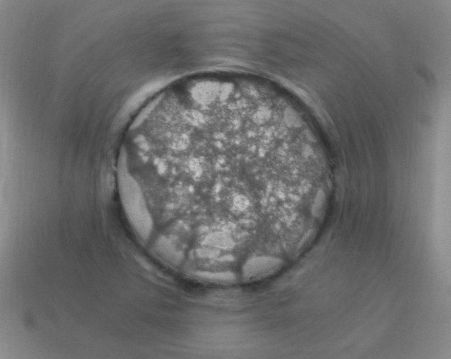 X0000113601363200910161856