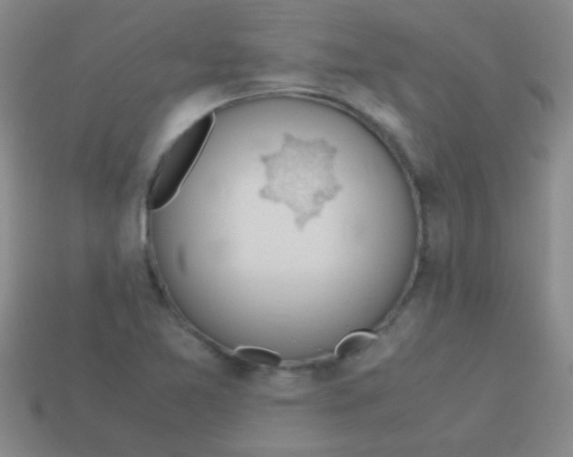 X0000113601365200910161856