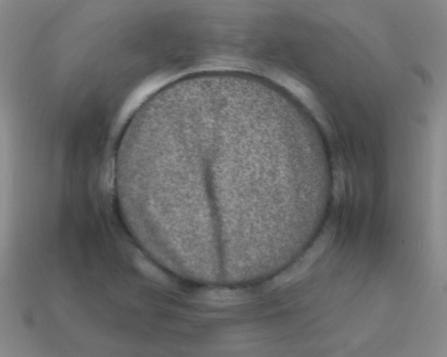 X0000113601366200910161856