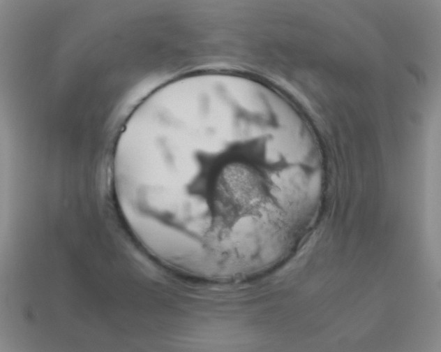 X0000113601367200910161856