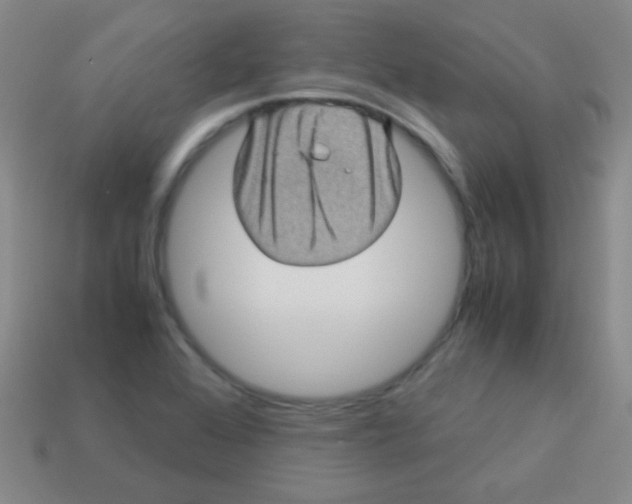 X0000113601368200910161856