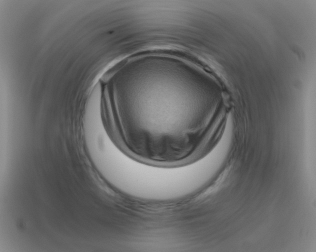 X0000113601369200910161856