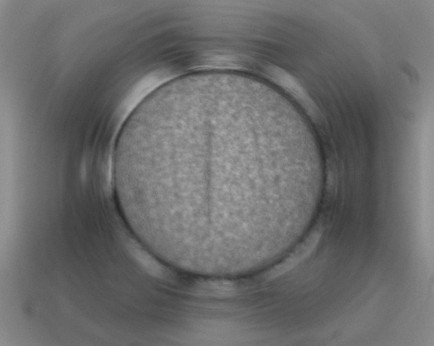 X0000113601370200910161856