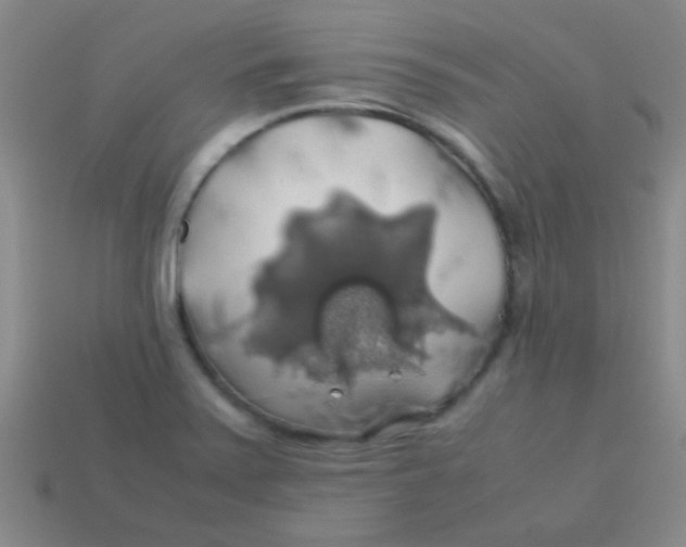 X0000113601371200910161856