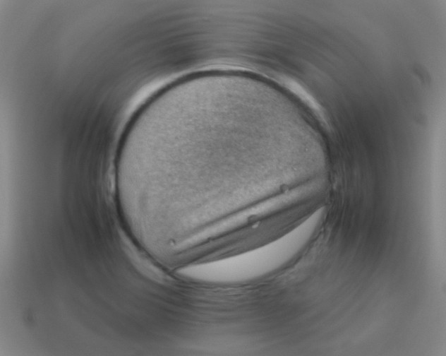 X0000113601372200910161856