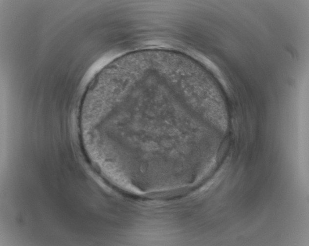 X0000113601373200910161856