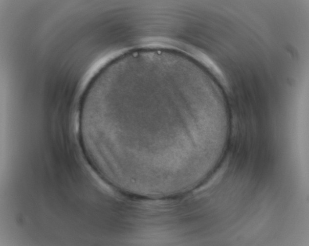 X0000113601376200910161856