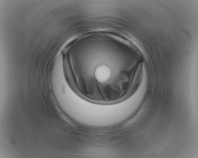 X0000113601377200910161856