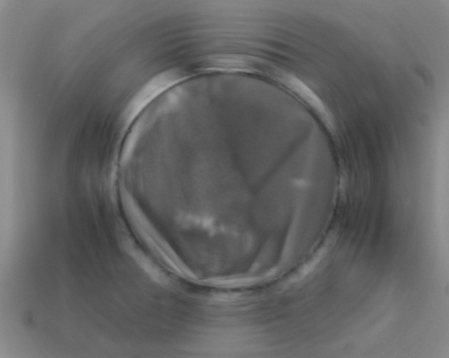 X0000113601378200910161856