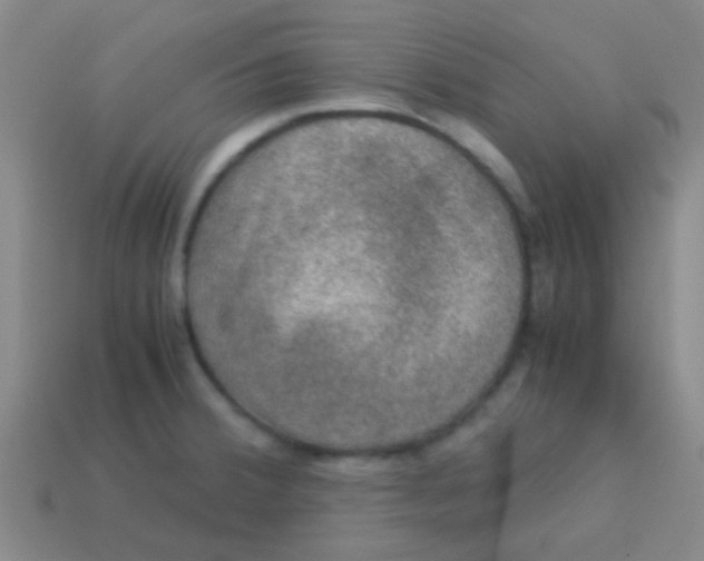 X0000113601380200910161856