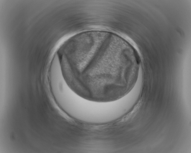 X0000113601381200910161856