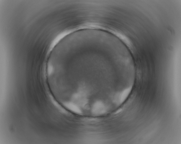 X0000113601382200910161855