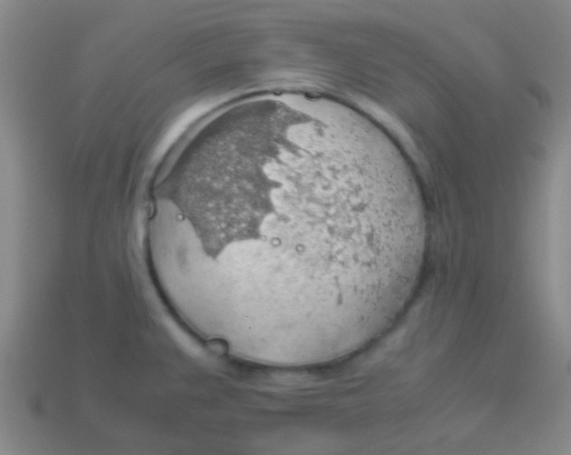 X0000113601383200910161855