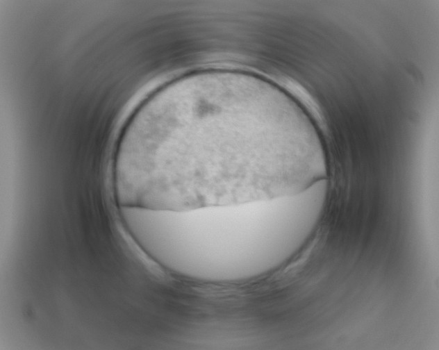 X0000113601384200910161855