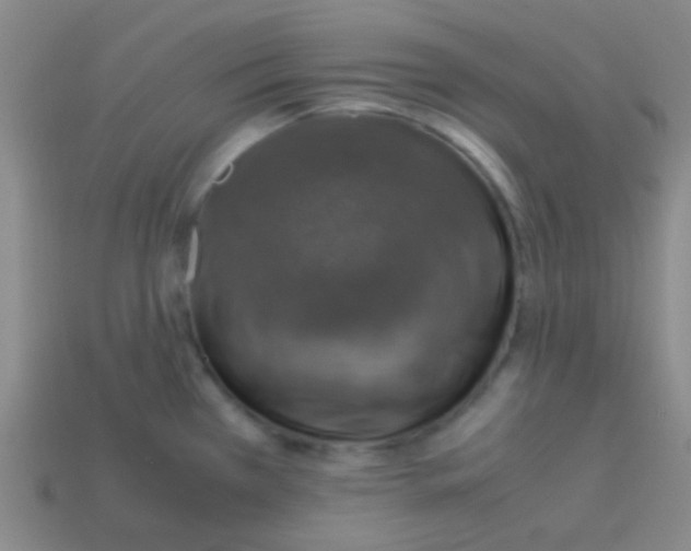 X0000113601385200910161855