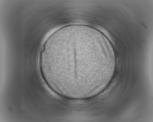 X0000113601387200910161855