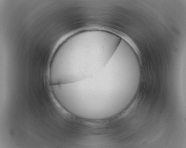 X0000113601388200910161855