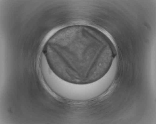 X0000113601389200910161855