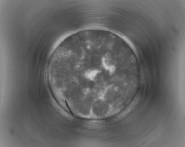 X0000113601390200910161855