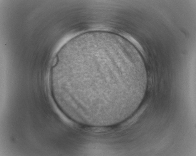 X0000113601391200910161855