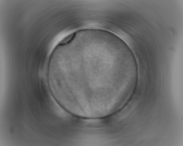 X0000113601392200910161855