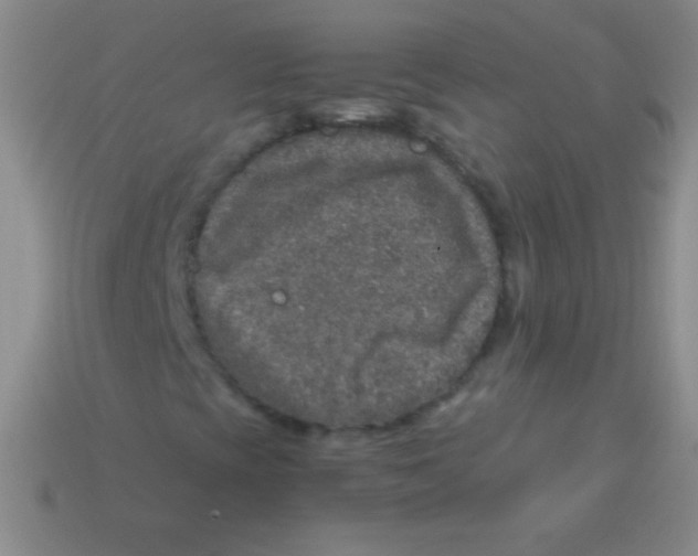 X0000113601393200910161855