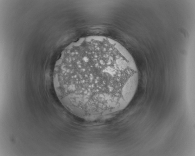 X0000113601394200910161855