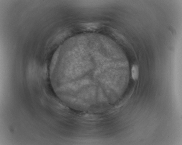 X0000113601395200910161855