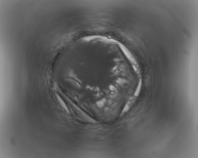 X0000113601397200910161855