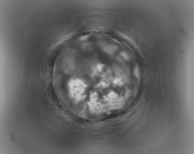 X0000113601399200910161855