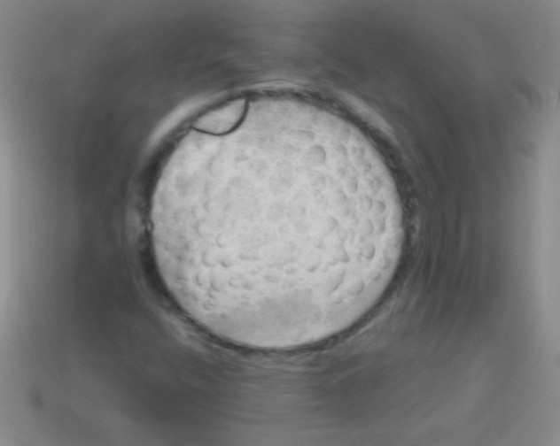 X0000113601400200910161855