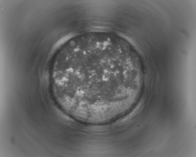 X0000113601402200910161855