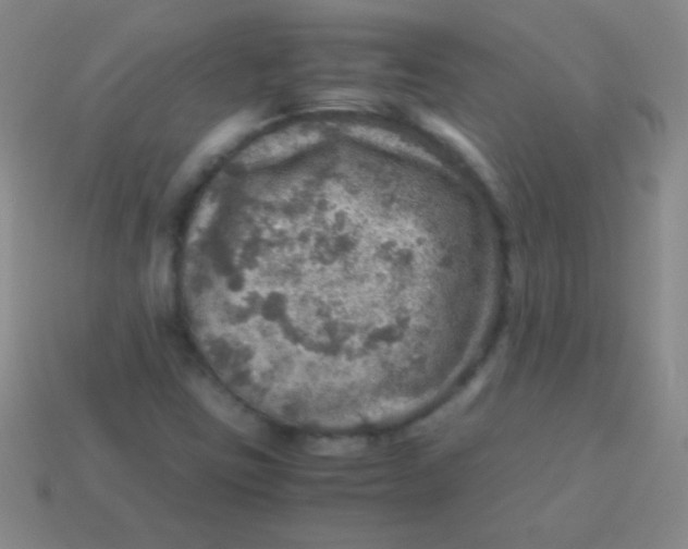 X0000113601403200910161855