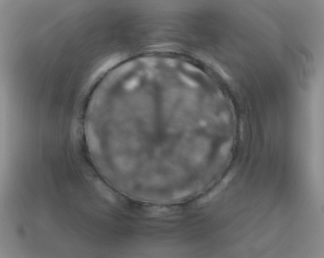 X0000113601405200910161855