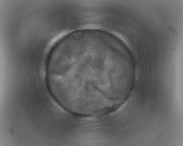 X0000113601406200910161855