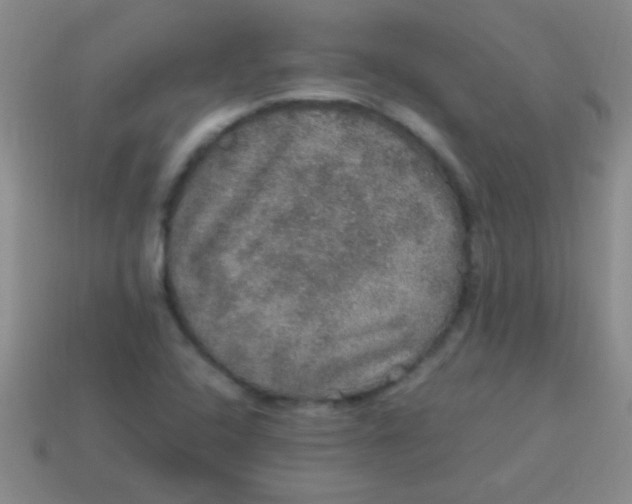 X0000113601408200910161855