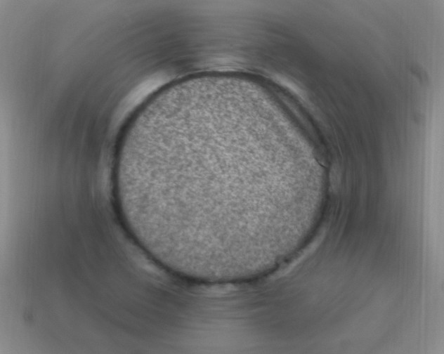 X0000113601410200910161855