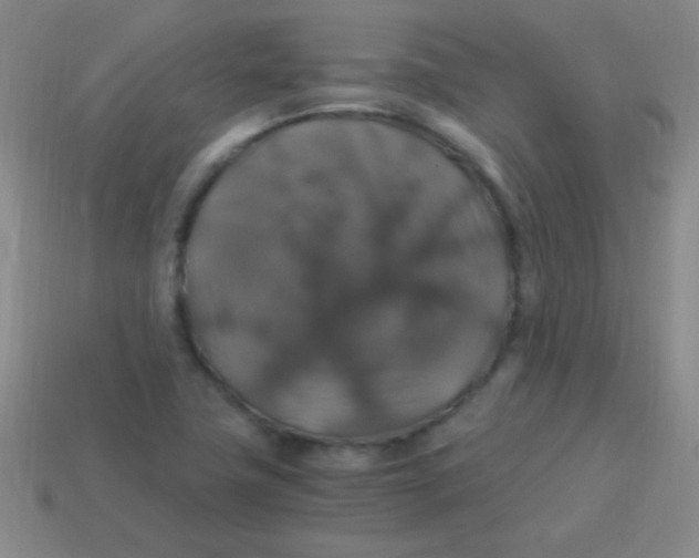 X0000113601411200910161855