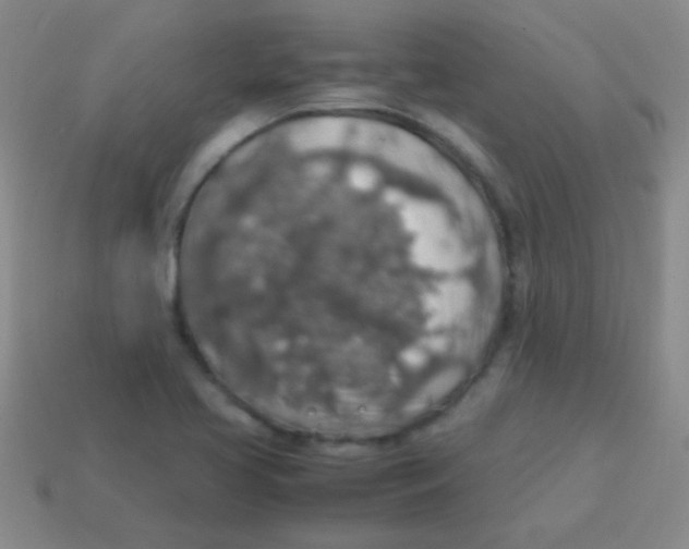 X0000113601413200910161855