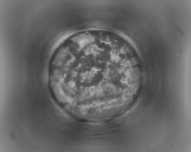 X0000113601415200910161855